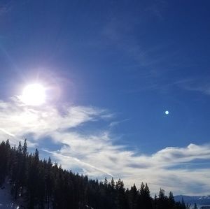 Meet your Posher, Alfred